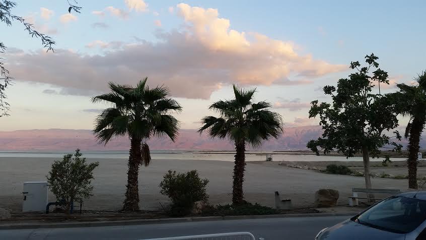 Rose Dead Sea Neve Zohar Hotel Kamer foto