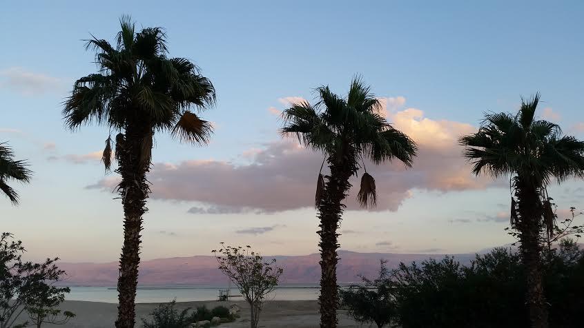 Rose Dead Sea Neve Zohar Hotel Kamer foto