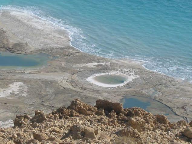 Rose Dead Sea Neve Zohar Hotel Kamer foto