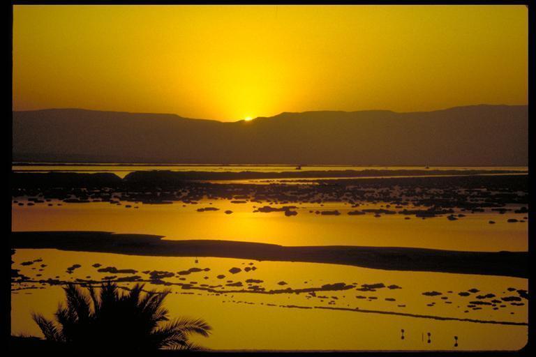 Rose Dead Sea Neve Zohar Hotel Kamer foto