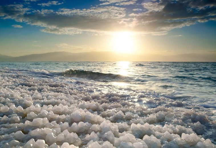 Rose Dead Sea Neve Zohar Hotel Buitenkant foto
