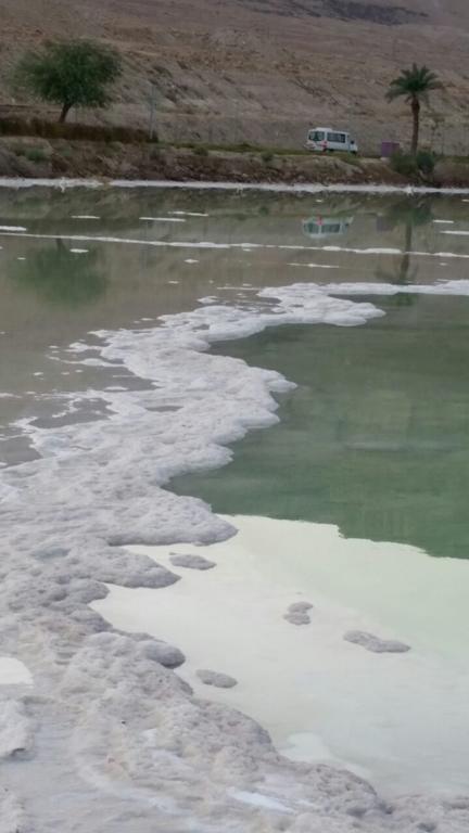 Rose Dead Sea Neve Zohar Hotel Buitenkant foto