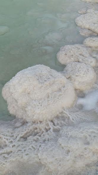Rose Dead Sea Neve Zohar Hotel Buitenkant foto