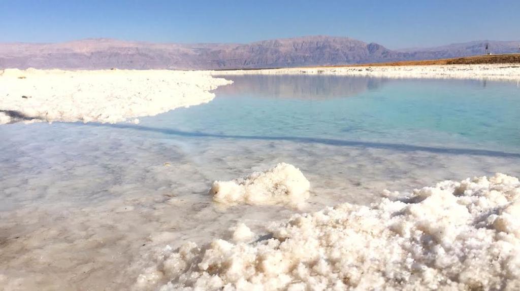 Rose Dead Sea Neve Zohar Hotel Buitenkant foto